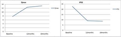 Mid-term results of water vapor thermal therapy in patients with lower urinary tract symptoms related to benign prostatic hyperplasia